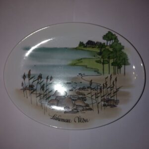 Portselanist seinataldrik Lahemaa. Võsu,käsimaal (Y)