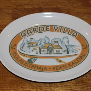 Portselanist seinataldrik Aarde villa (Y)