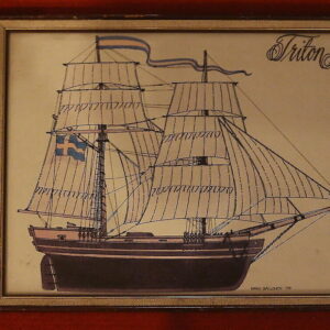 Raamitud pilt. Raimo Sallinen 1978 (Y)