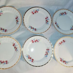 Ilusas säilivuses lilledekooriga koogitaldrikud 6-le (Y)