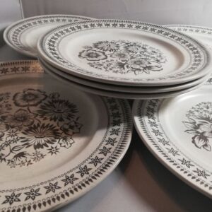 Country Lane taldrikud, 7 tk (Y)