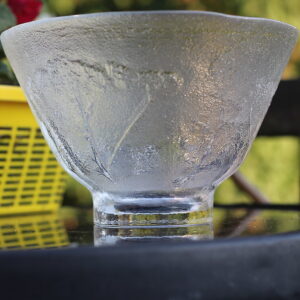 Ilus klaasist kauss (Y)