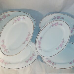 Portselanist ovaalsed taldrikud 6-le (Y)