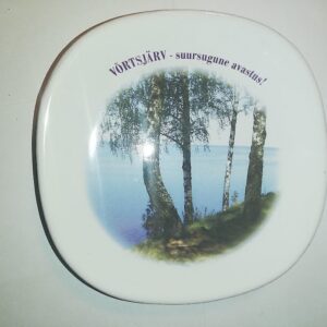 Seinataldrik Võrtsjärv (Y)