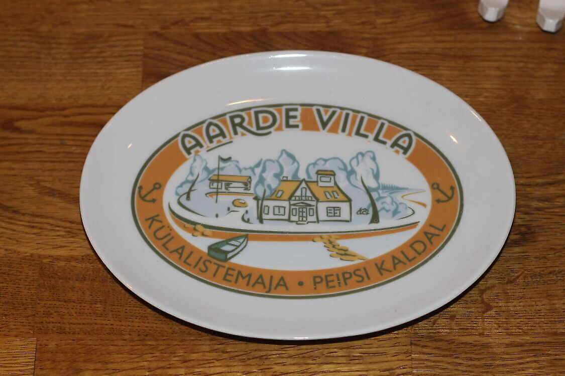 Portselanist seinataldrik Aarde villa (Y)