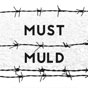 Must muld Holokaust kui ajalugu ja hoiatus , Timothy Snyder