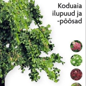 Koduaia ilupuud ja -põõsad Rein Sander