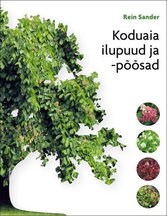 Koduaia ilupuud ja -põõsad Rein Sander
