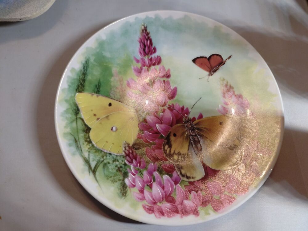 Portselanist seinataldrik. Butterfly kingdom (Y) - Image 2