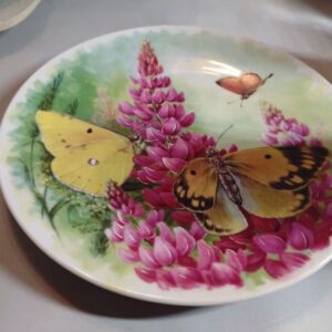 Portselanist seinataldrik. Butterfly kingdom (Y)