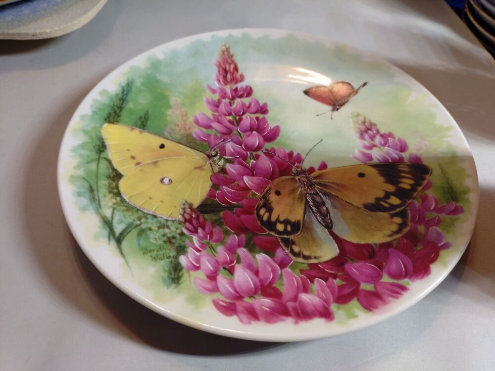 Portselanist seinataldrik. Butterfly kingdom (Y)