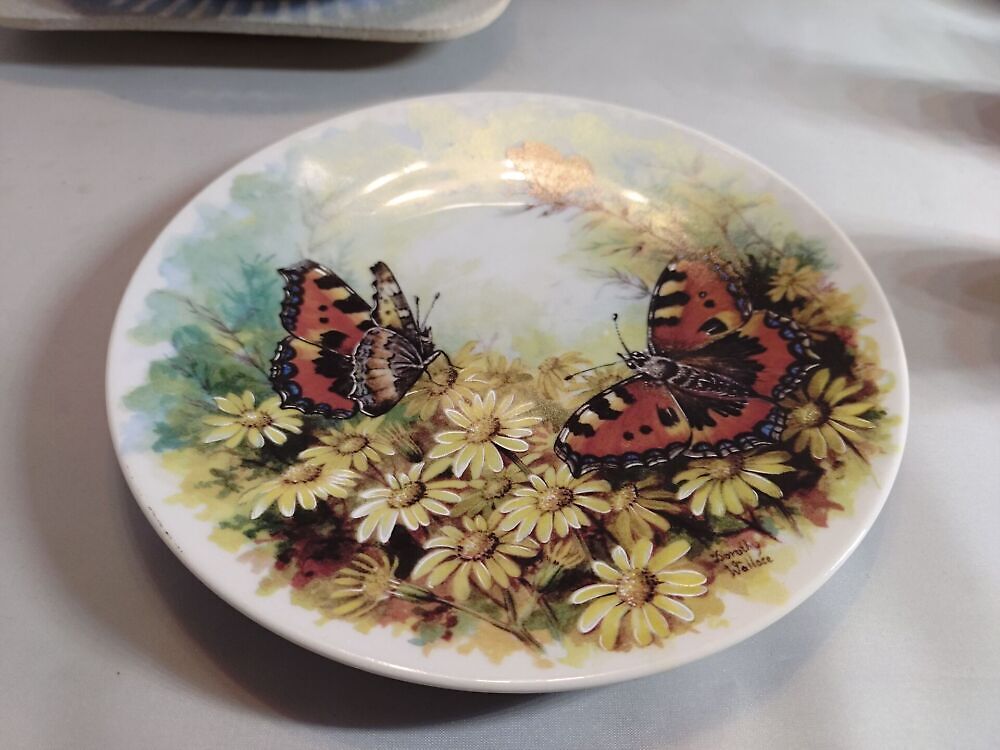 Portselanist seinataldrik. Butterfly kingdom (Y)