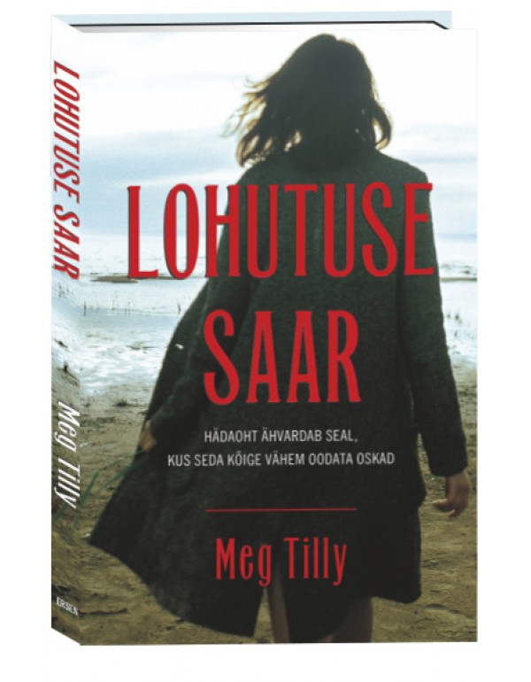 Lohutuse saar. Meg Tilly